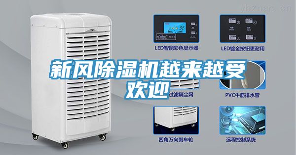 新风91免费网站在线观看越来越受欢迎
