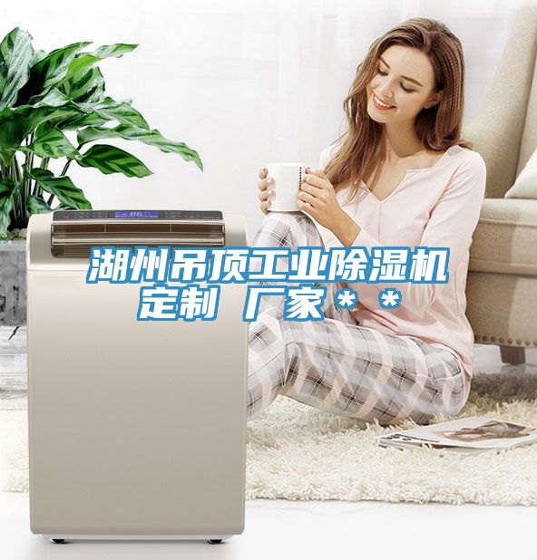 湖州吊顶工业91免费网站在线观看定制 厂家＊＊