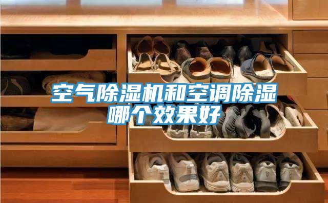 空气91免费网站在线观看和空调除湿哪个效果好