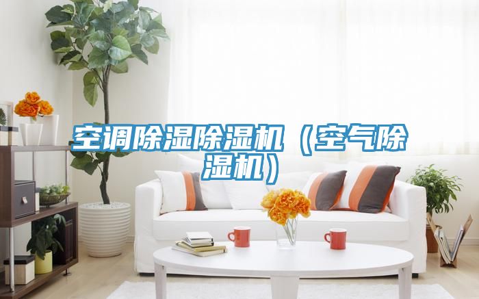 空调除湿91免费网站在线观看（空气91免费网站在线观看）