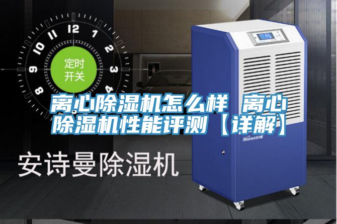 离心91免费网站在线观看怎么样 离心91免费网站在线观看性能评测【详解】