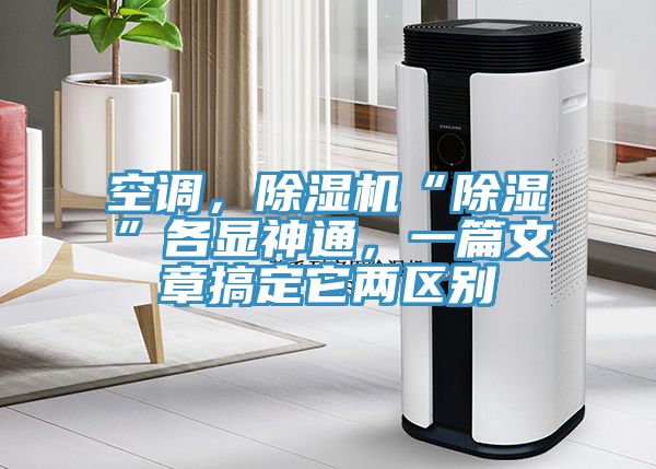 空调，91免费网站在线观看“除湿”各显神通，一篇文章搞定它两区别
