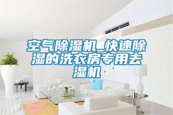 空气91免费网站在线观看_快速除湿的洗衣房专用去湿机