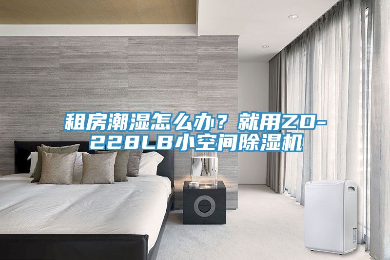 租房潮湿怎么办？就用ZD-228LB小空间91免费网站在线观看