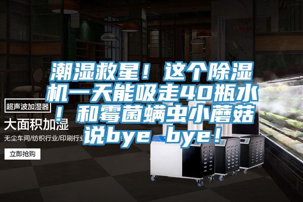 潮湿救星！这个91免费网站在线观看一天能吸走40瓶水！和霉菌螨虫小蘑菇说bye bye！