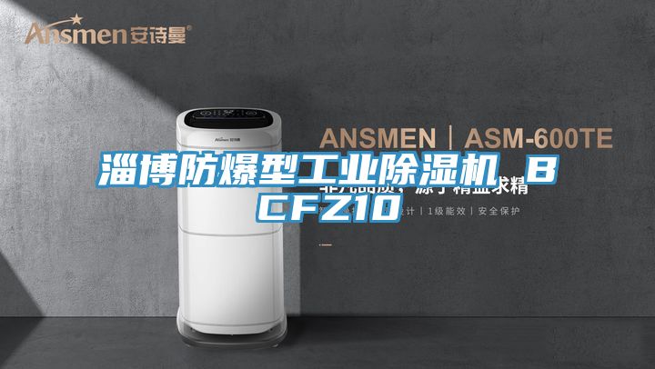 淄博防爆型工业91免费网站在线观看 BCFZ10