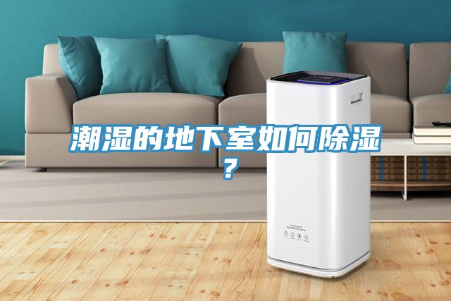 潮湿的地下室如何除湿？