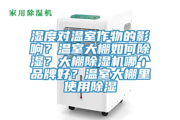 湿度对温室作物的影响？温室大棚如何除湿？大棚91免费网站在线观看哪个品牌好？温室大棚里使用除湿