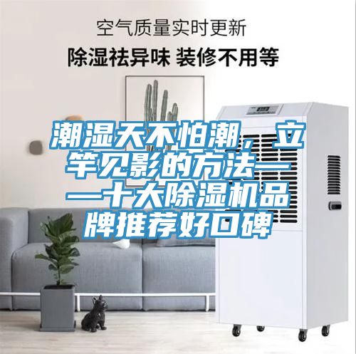 潮湿天不怕潮，立竿见影的方法——十大91免费网站在线观看品牌推荐好口碑