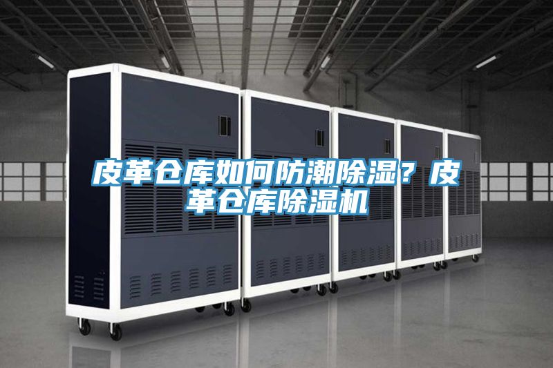 皮革仓库如何防潮除湿？皮革仓库91免费网站在线观看