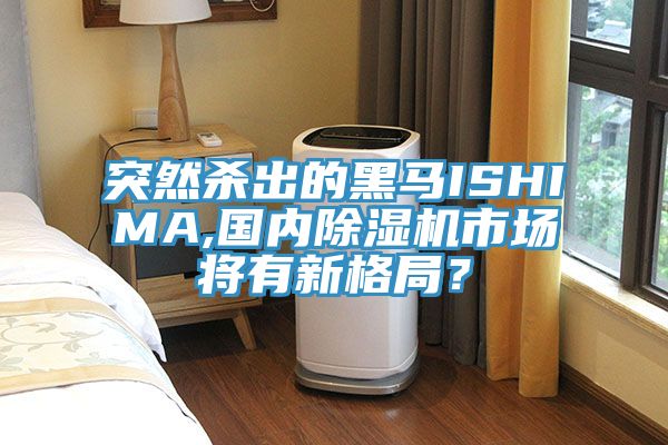 突然杀出的黑马ISHIMA,国内91免费网站在线观看市场将有新格局？