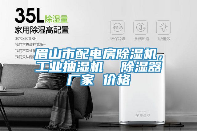 眉山市配电房91免费网站在线观看，工业抽湿机  除湿器厂家 价格