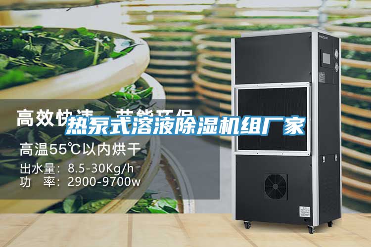 热泵式溶液91免费网站在线观看组厂家