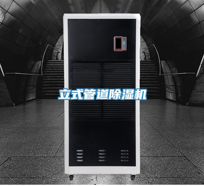立式管道91免费网站在线观看