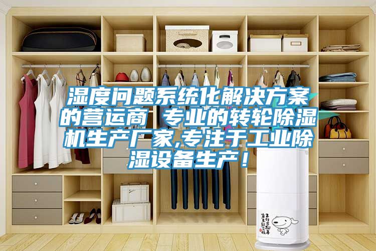 湿度问题系统化解决方案的营运商 专业的转轮91免费网站在线观看生产厂家,专注于工业除湿设备生产！