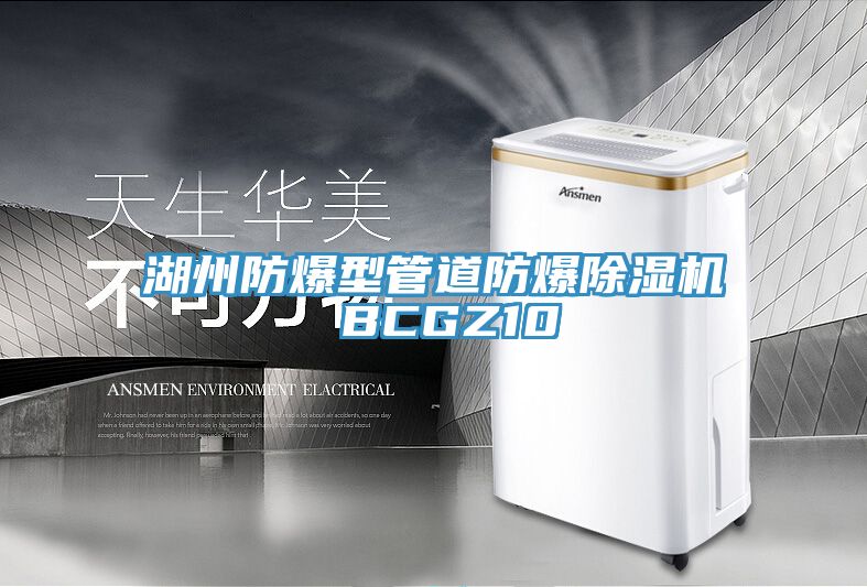 湖州防爆型管道防爆91免费网站在线观看 BCGZ10