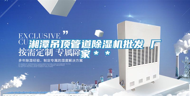 湘潭吊顶管道91免费网站在线观看批发 厂家＊＊