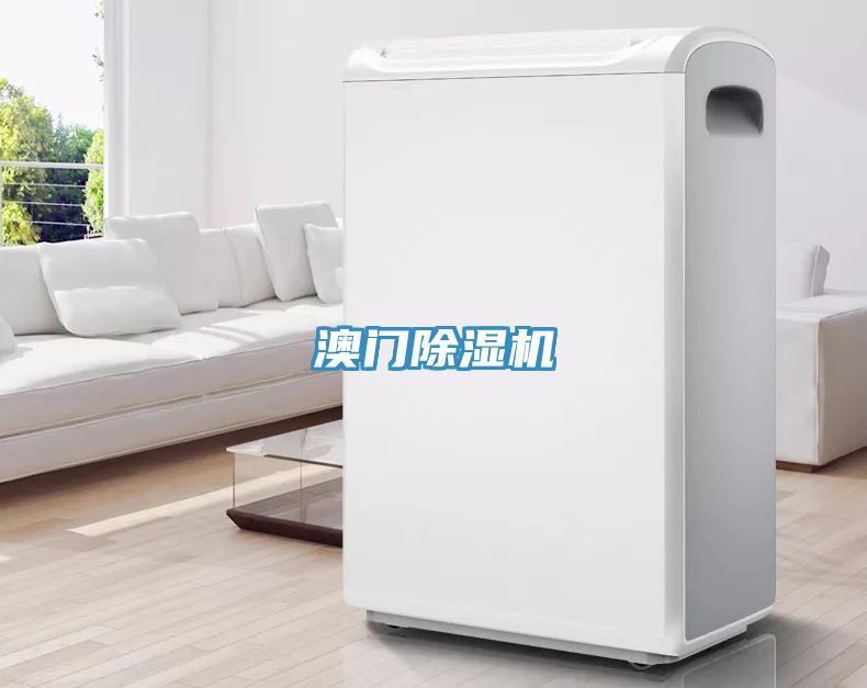 澳门91免费网站在线观看
