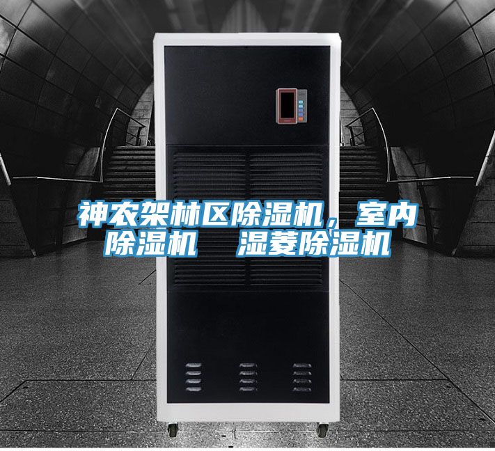 神农架林区91免费网站在线观看，室内91免费网站在线观看  湿菱91免费网站在线观看
