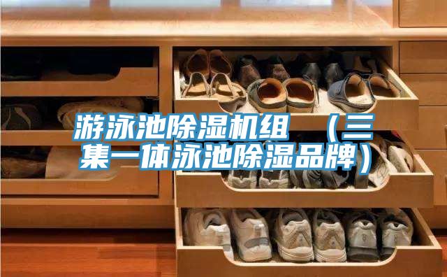 游泳池91免费网站在线观看组 （三集一体泳池除湿品牌）