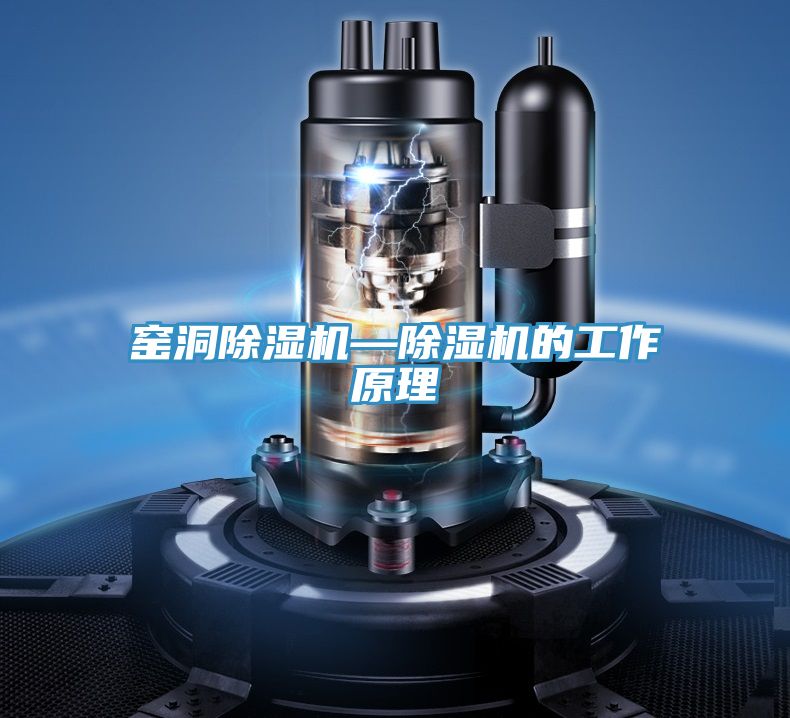 窑洞91免费网站在线观看—91免费网站在线观看的工作原理