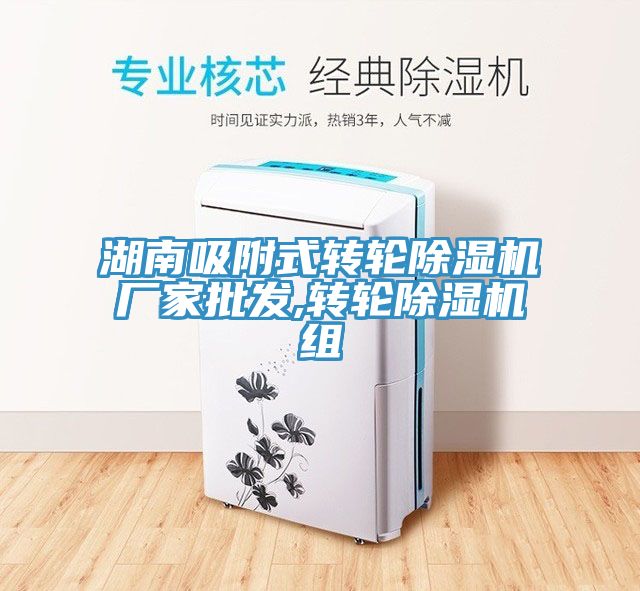 湖南吸附式转轮91免费网站在线观看厂家批发,转轮91免费网站在线观看组