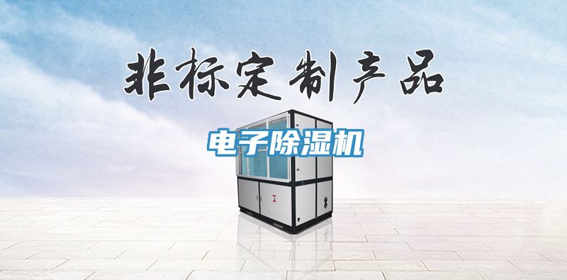 电子91免费网站在线观看