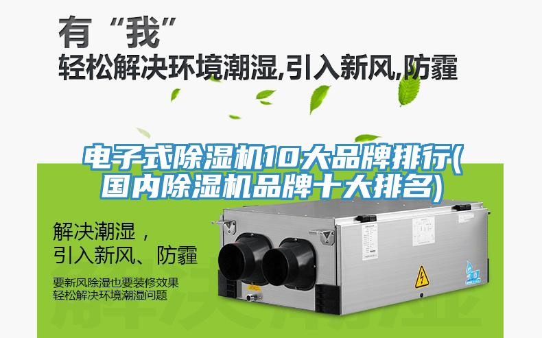 电子式91免费网站在线观看10大品牌排行(国内91免费网站在线观看品牌十大排名)
