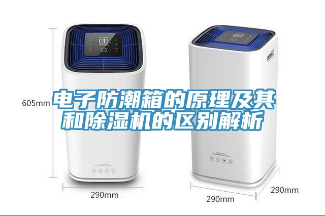 电子防潮箱的原理及其和91免费网站在线观看的区别解析