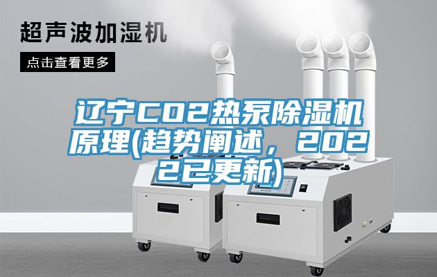 辽宁CO2热泵91免费网站在线观看原理(趋势阐述，2022已更新)