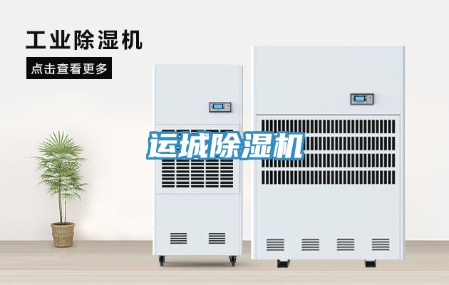 运城91免费网站在线观看
