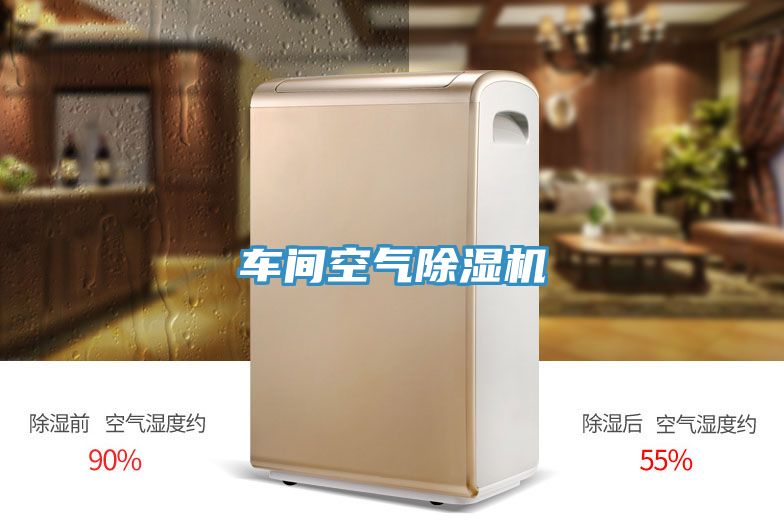 车间空气91免费网站在线观看