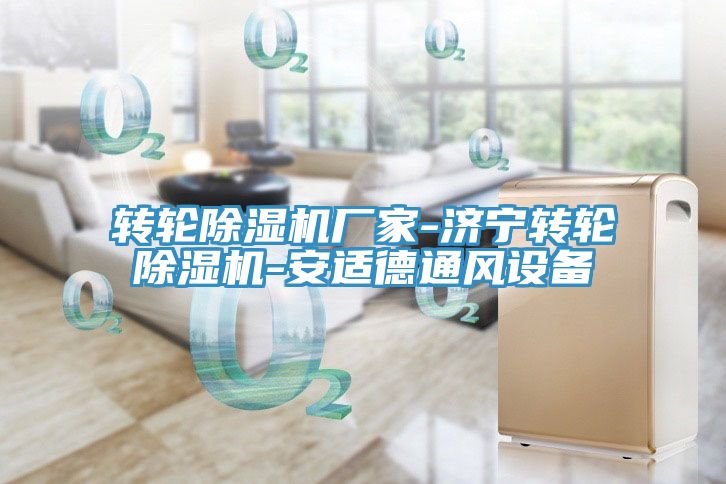转轮91免费网站在线观看厂家-济宁转轮91免费网站在线观看-安适德通风设备