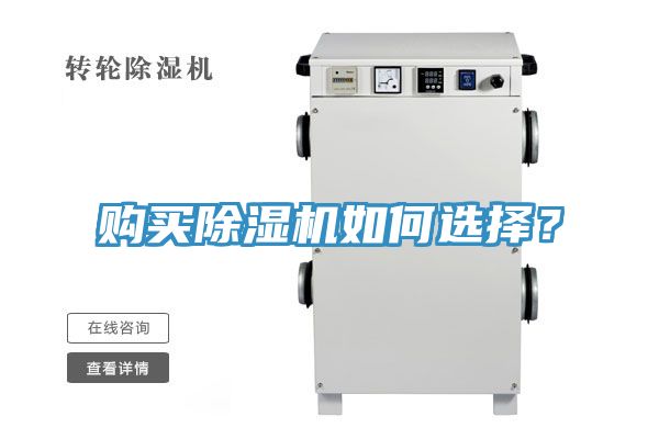 购买91免费网站在线观看如何选择？