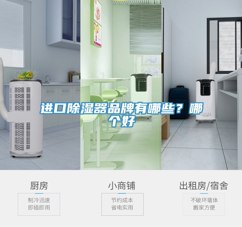 进口除湿器品牌有哪些？哪个好