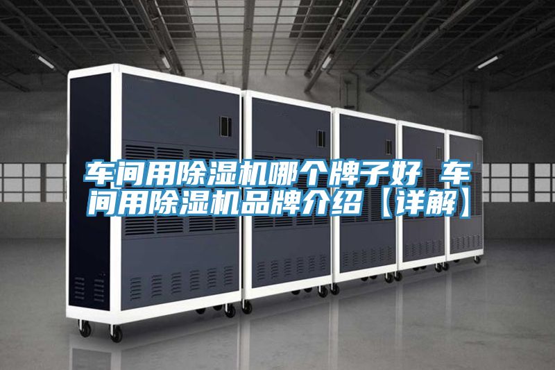 车间用91免费网站在线观看哪个牌子好 车间用91免费网站在线观看品牌介绍【详解】
