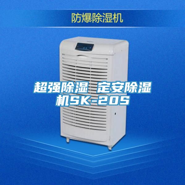 超强除湿 定安91免费网站在线观看SK-20S