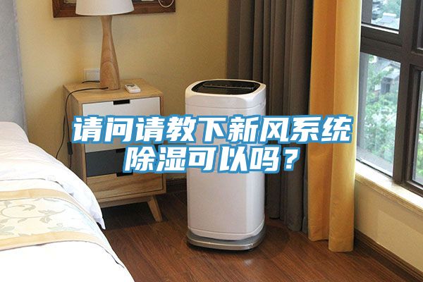 请问请教下新风系统除湿可以吗？