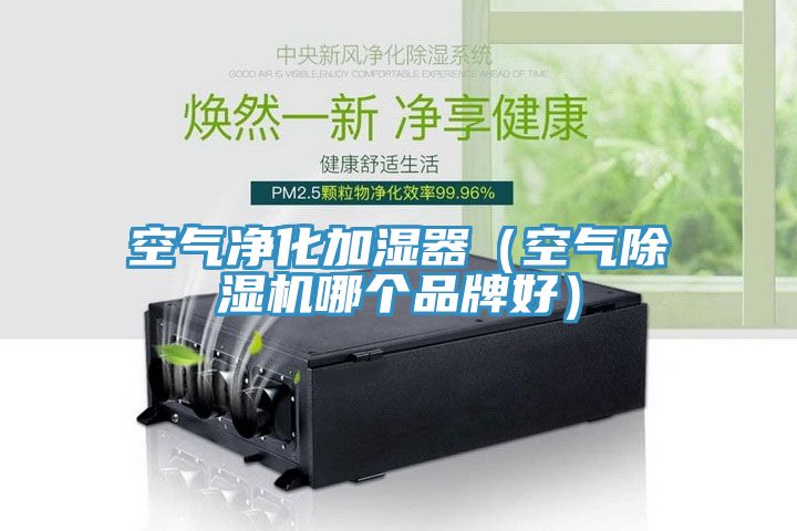 空气净化加湿器（空气91免费网站在线观看哪个品牌好）