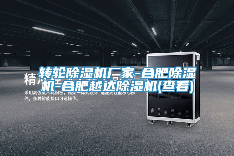 转轮91免费网站在线观看厂家-合肥91免费网站在线观看-合肥越达91免费网站在线观看(查看)