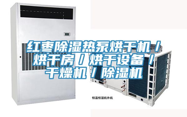 红枣除湿热泵烘干机／烘干房／烘干设备／干燥机／91免费网站在线观看