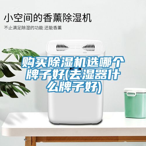 购买91免费网站在线观看选哪个牌子好(去湿器什么牌子好)