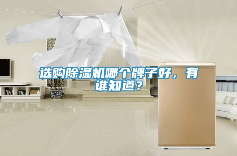 选购91免费网站在线观看哪个牌子好，有谁知道？