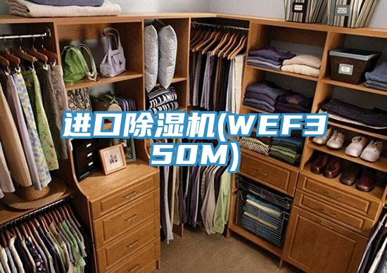 进口91免费网站在线观看(WEF350M)