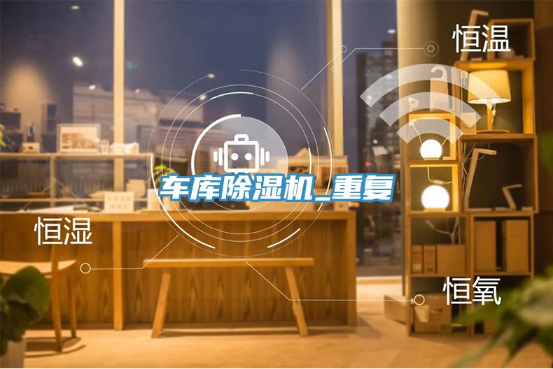 车库91免费网站在线观看_重复