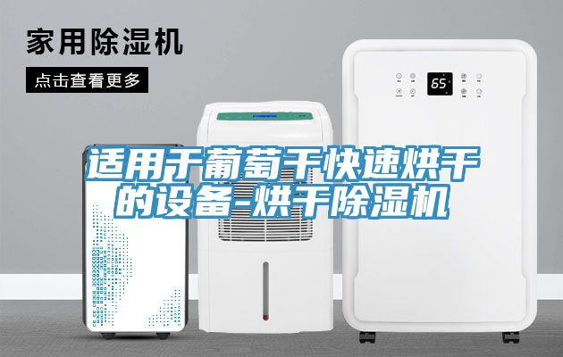 适用于葡萄干快速烘干的设备-烘干91免费网站在线观看