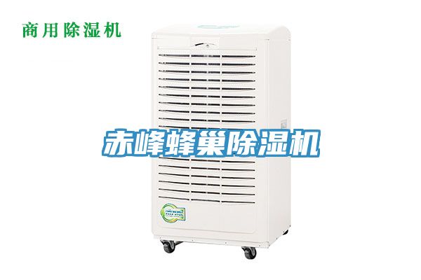 赤峰蜂巢91免费网站在线观看