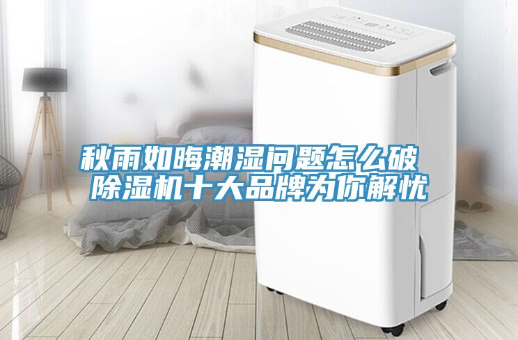 秋雨如晦潮湿问题怎么破 91免费网站在线观看十大品牌为你解忧
