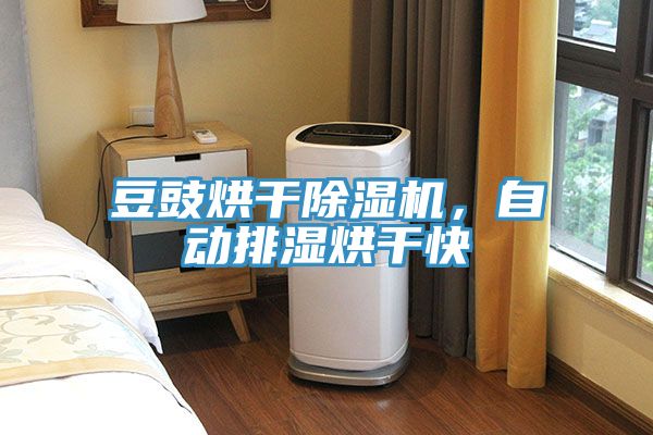豆豉烘干91免费网站在线观看，自动排湿烘干快