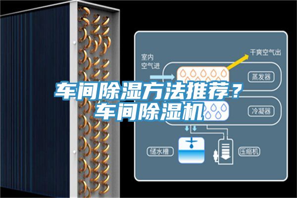 车间除湿方法推荐？车间91免费网站在线观看